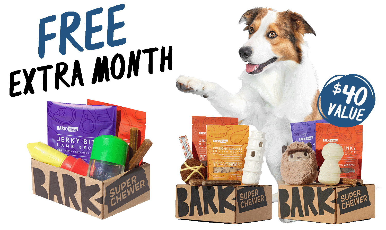 BarkBox Super Chewer Coupon FREE Extra Month With Subscription of