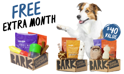 Super Chewer Coupon: FREE Extra Month With Subscription of Tough Toys for Dogs!