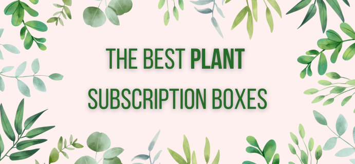 The 9 Best Indoor & Outdoor Plant Subscription Boxes in 2024