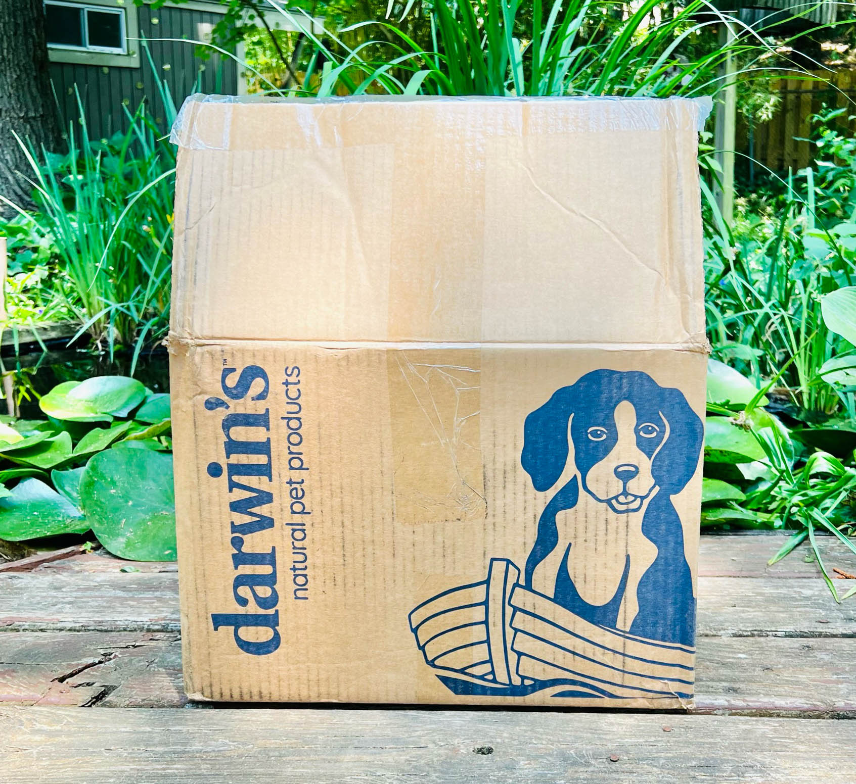 Darwin's dog outlet food reviews