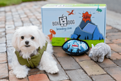 BoxDog Coupon: FREE Red Velvet Pet Blanket OR 10% Off Your First Customizable Dog Subscription Box!