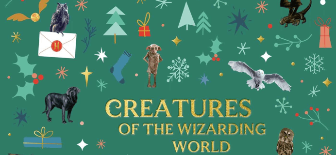 Calendrier de l'Avent Harry Potter 24 personnages de chocolat 280 g en  attendant le Noël avec douceur : : Jeux et Jouets