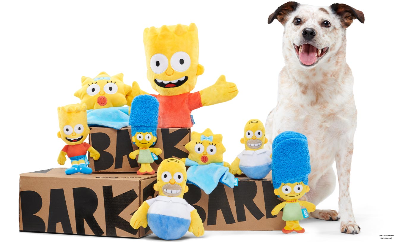 Simpsons dog food discount code sale