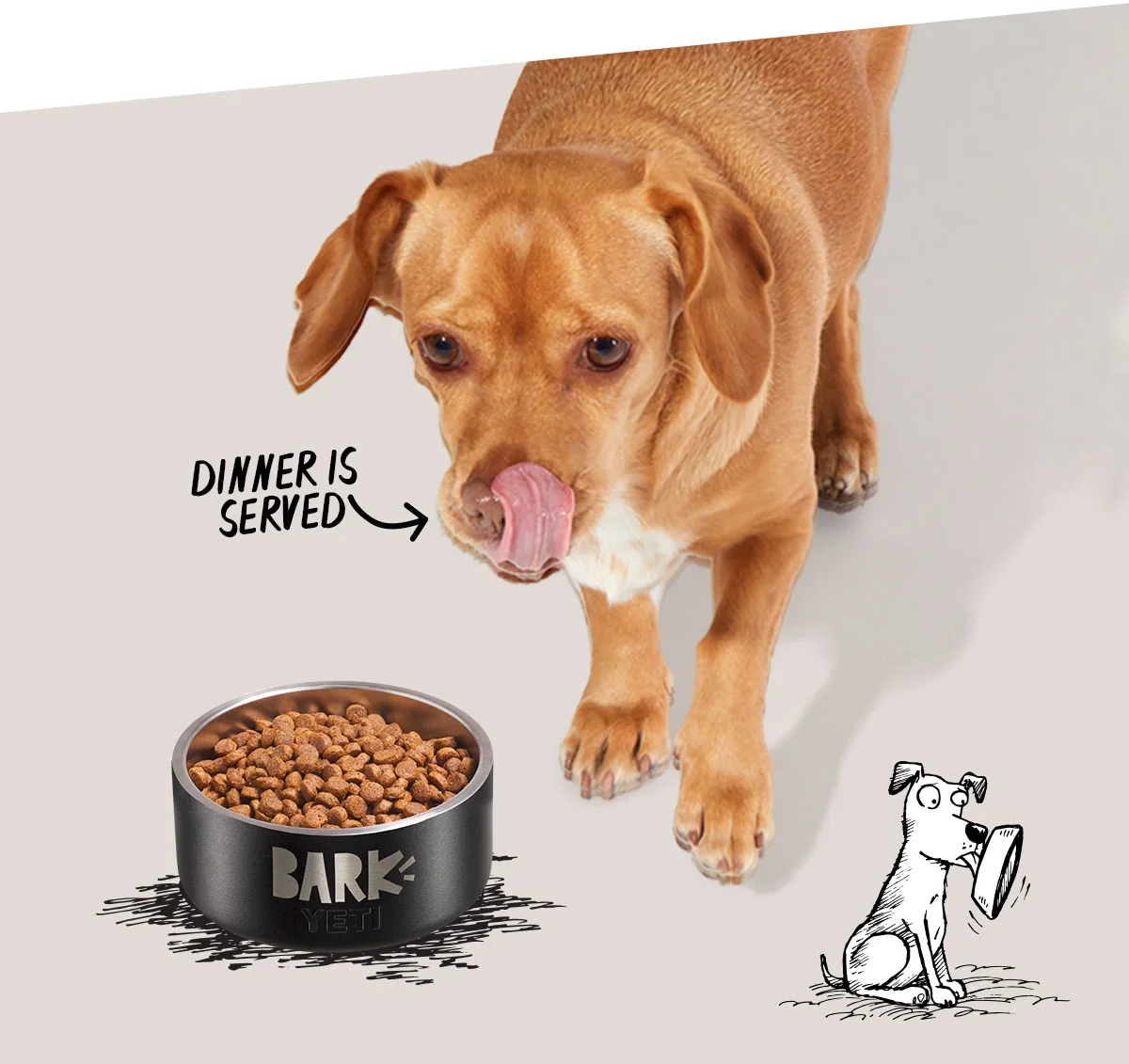 Barkbox Super Chewer: Free YETI® Bowls are Back