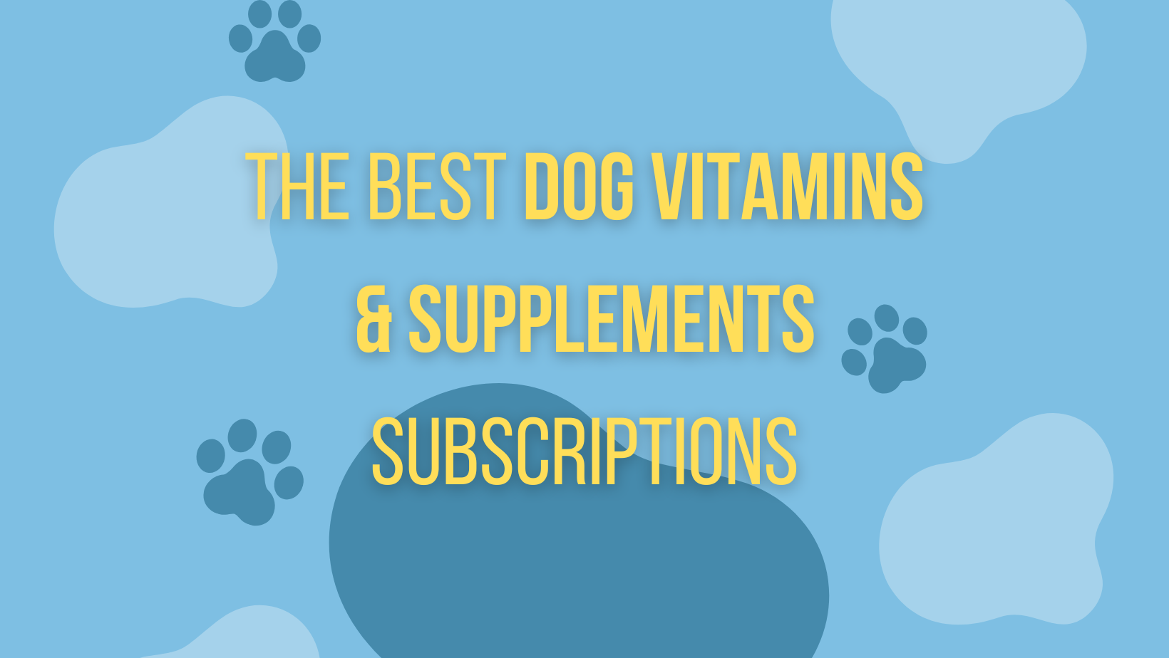 The Best Dog Vitamins & Supplements Subscriptions Of 2024 - Hello ...