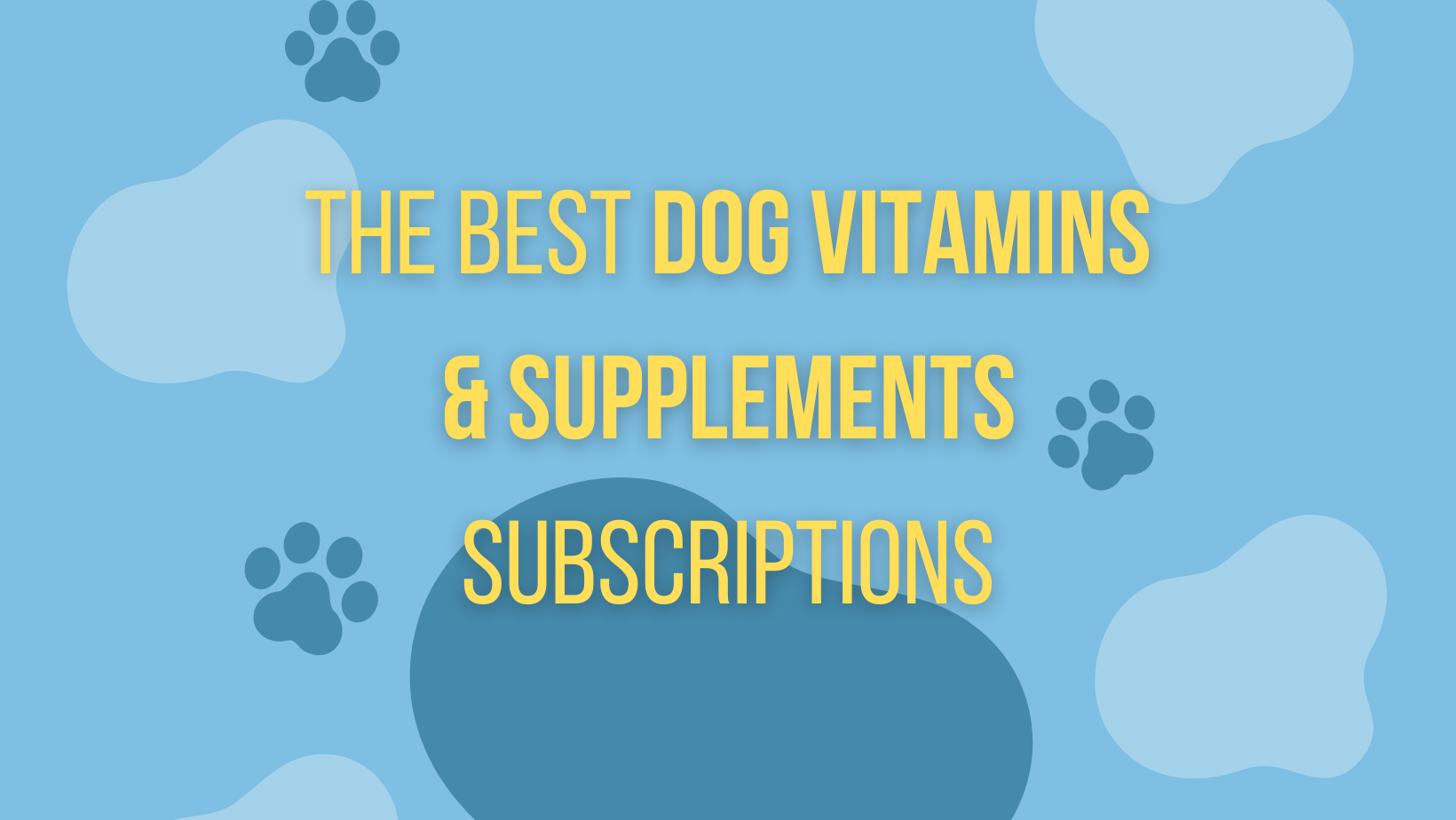 The Best Dog Vitamins & Supplements Subscriptions of 2024 Hello