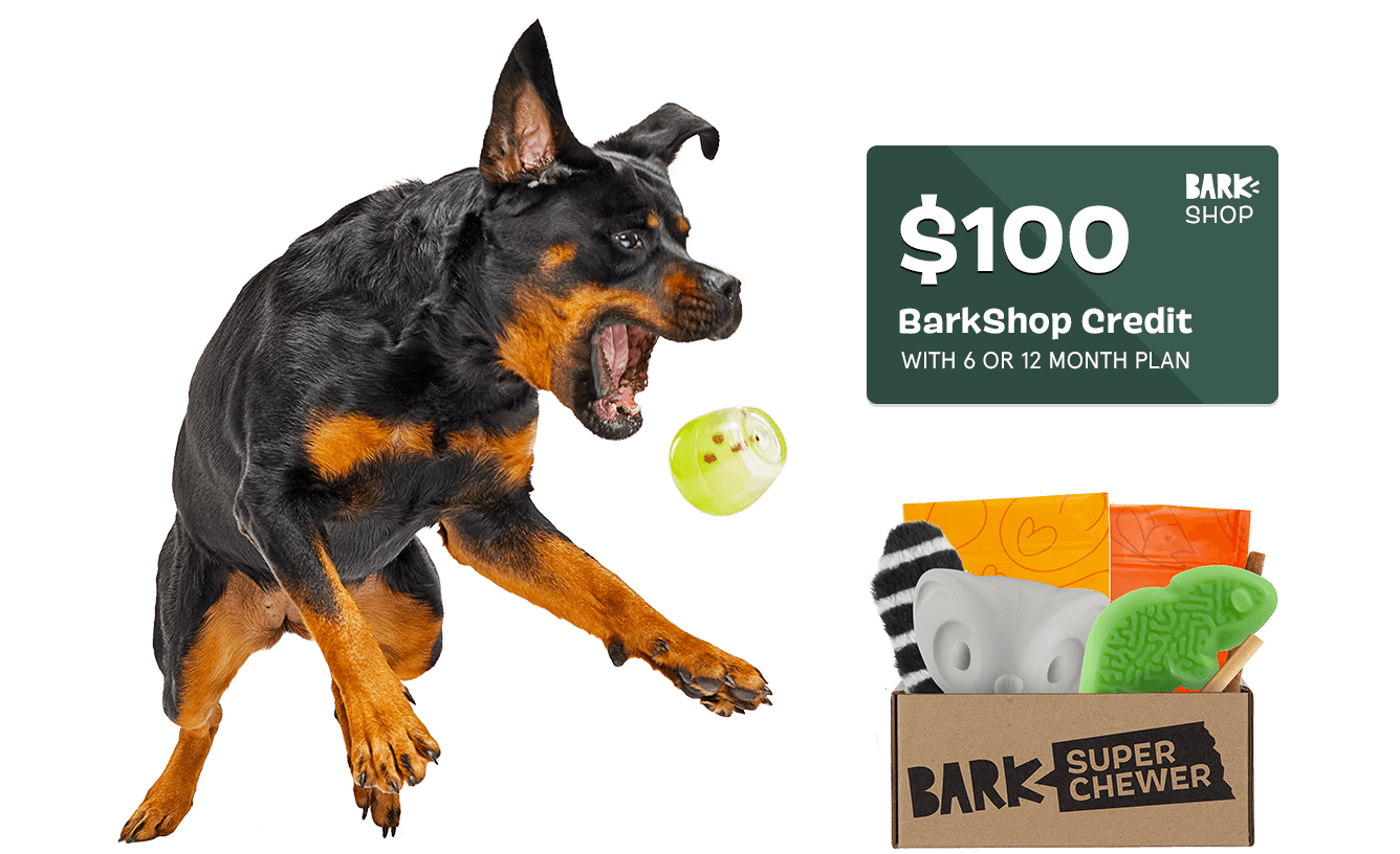 BarkBox & Super Chewer Deal: Get $100 BarkShop Credit With 6+ Month ...