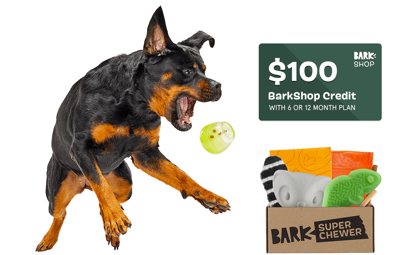 BarkBox - The Monthly Dog Toy and Treat Box