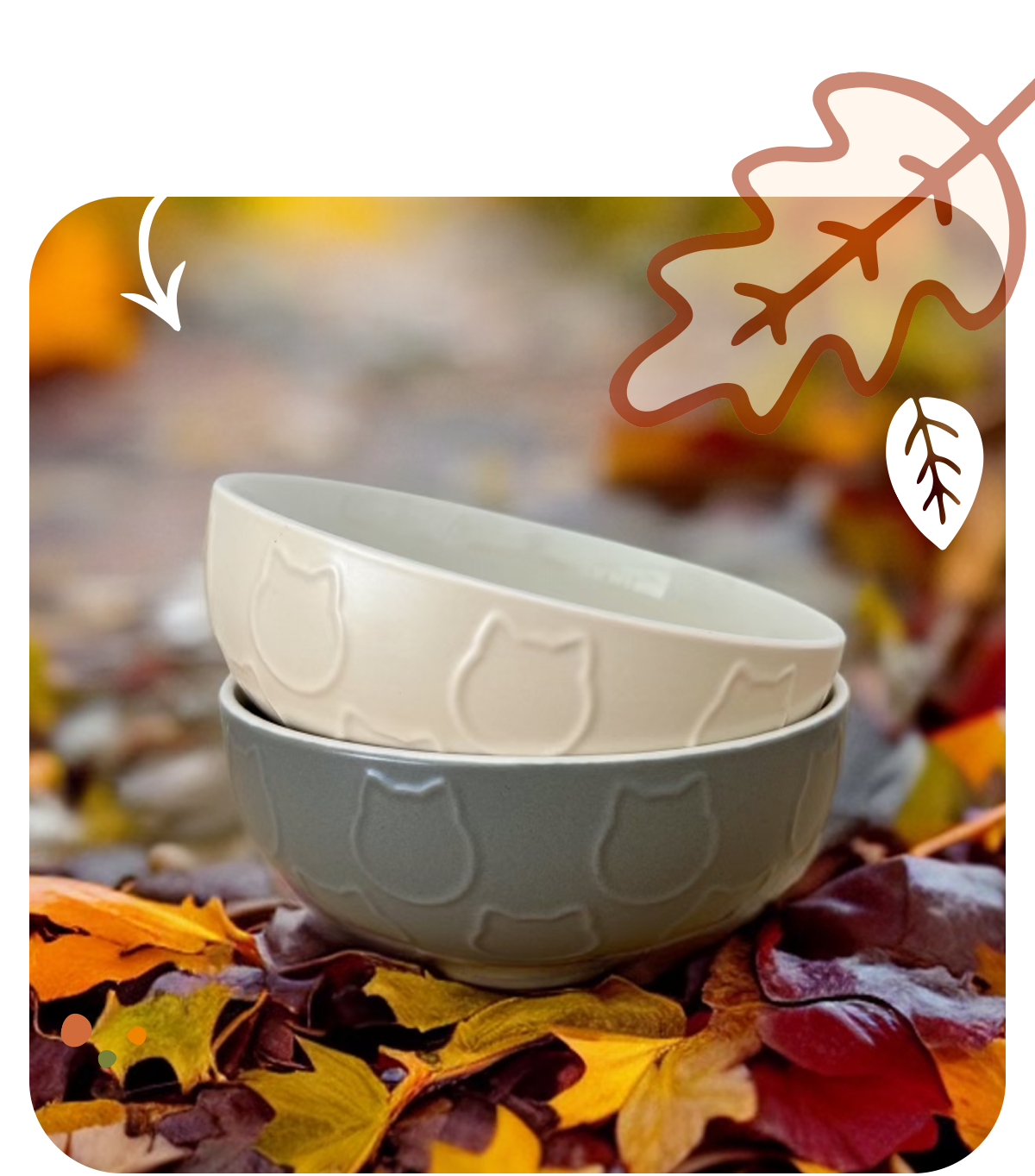 Cat Lady Box September 2023 Spoilers! Hello Subscription