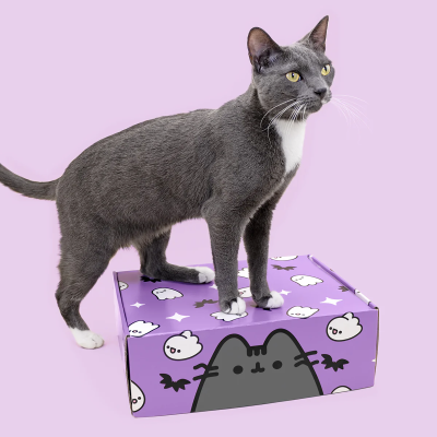 Cat Kit by Pusheen Box Fall 2023 Spoilers!