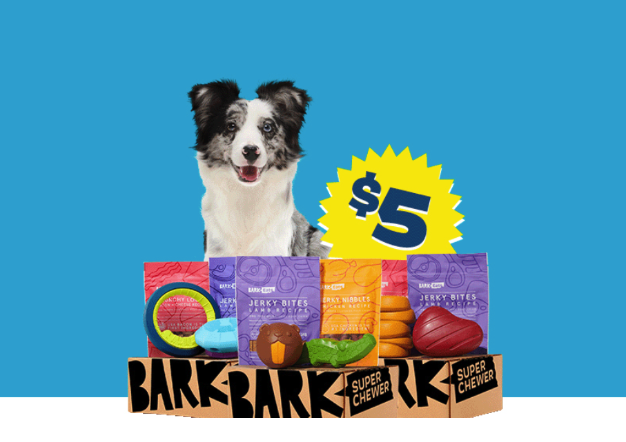 BarkBox and Super Chewer National Dog Day Coupon First Box of Dog