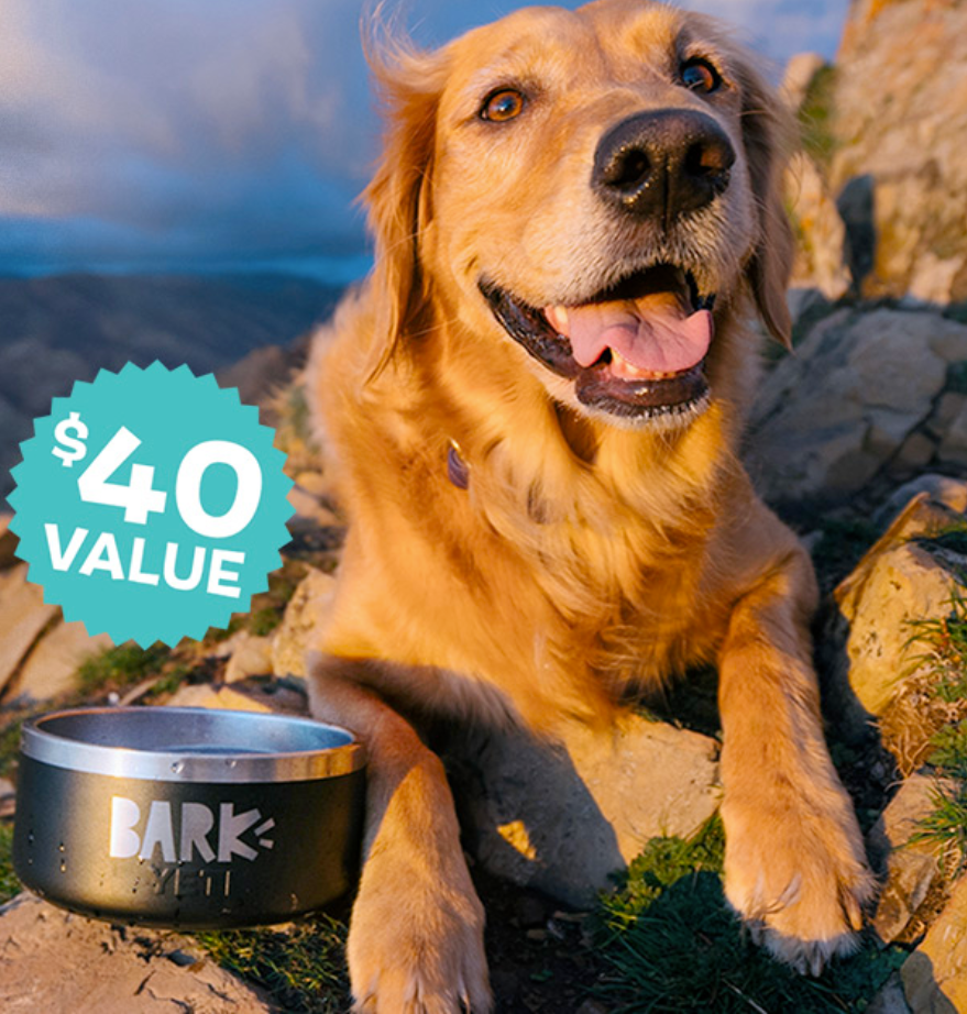 BarkBox & Super Chewer Deal: FREE Yeti Dog Bowl With First Box of