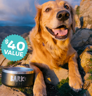 Barkbox Super Chewer: Free YETI® Bowls are Back