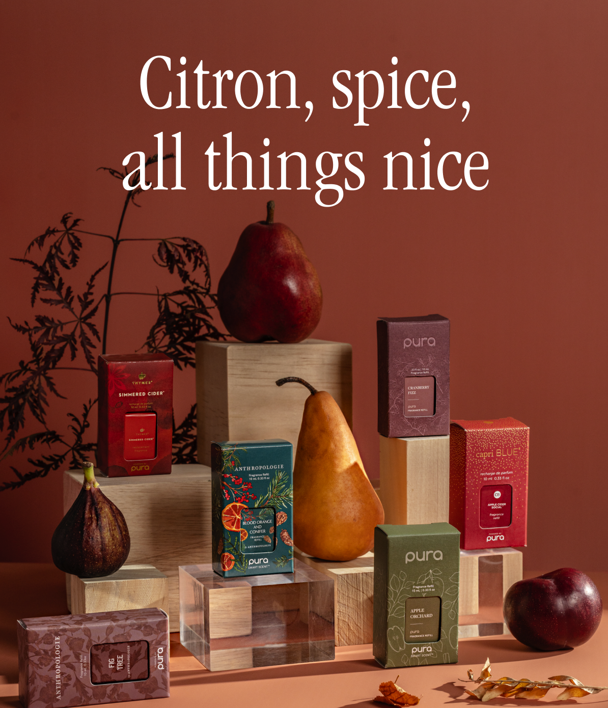 Pura Spice Home Fragrance