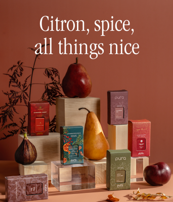 Pura Fall 2023 Collection: Citron, Spice, And All Things Nice!