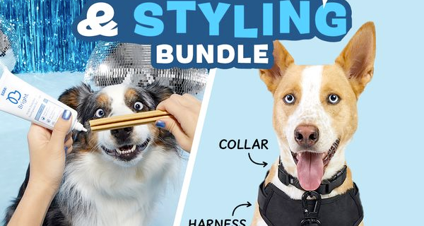 Bark Bright Coupon: FREE Walking Kit ($52 value)  With Dog Dental Kit Subscription!