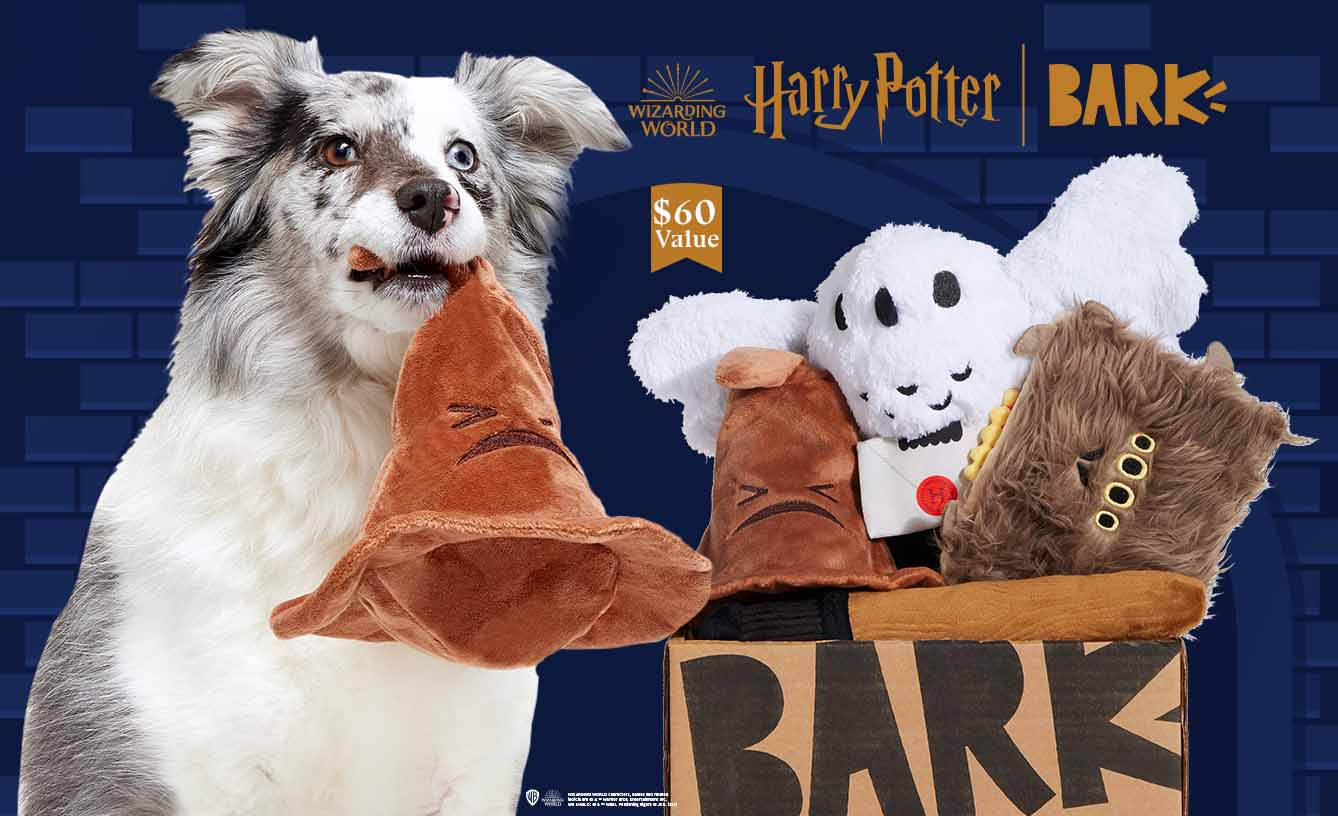 BarkBox Coupon: FREE Extra Toy In EVERY Box + Limited Edition Harry ...