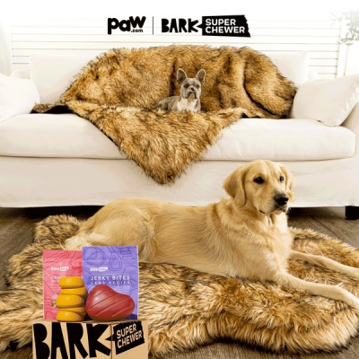 BarkBox & Super Chewer Deal: FREE Dog Blanket With First Box of Toys and Treats for Dogs!