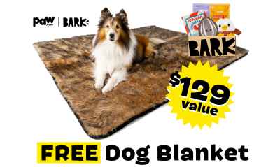 BarkBox & Super Chewer Deal: FREE Dog Blanket With First Box of Toys and Treats for Dogs!