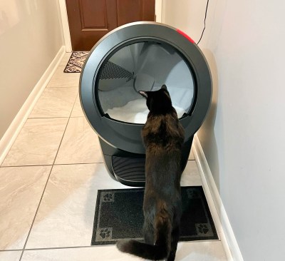 Litter-Robot 4 Review: Simplifying Cat Care with a Smart, Self-Cleaning Litter Box