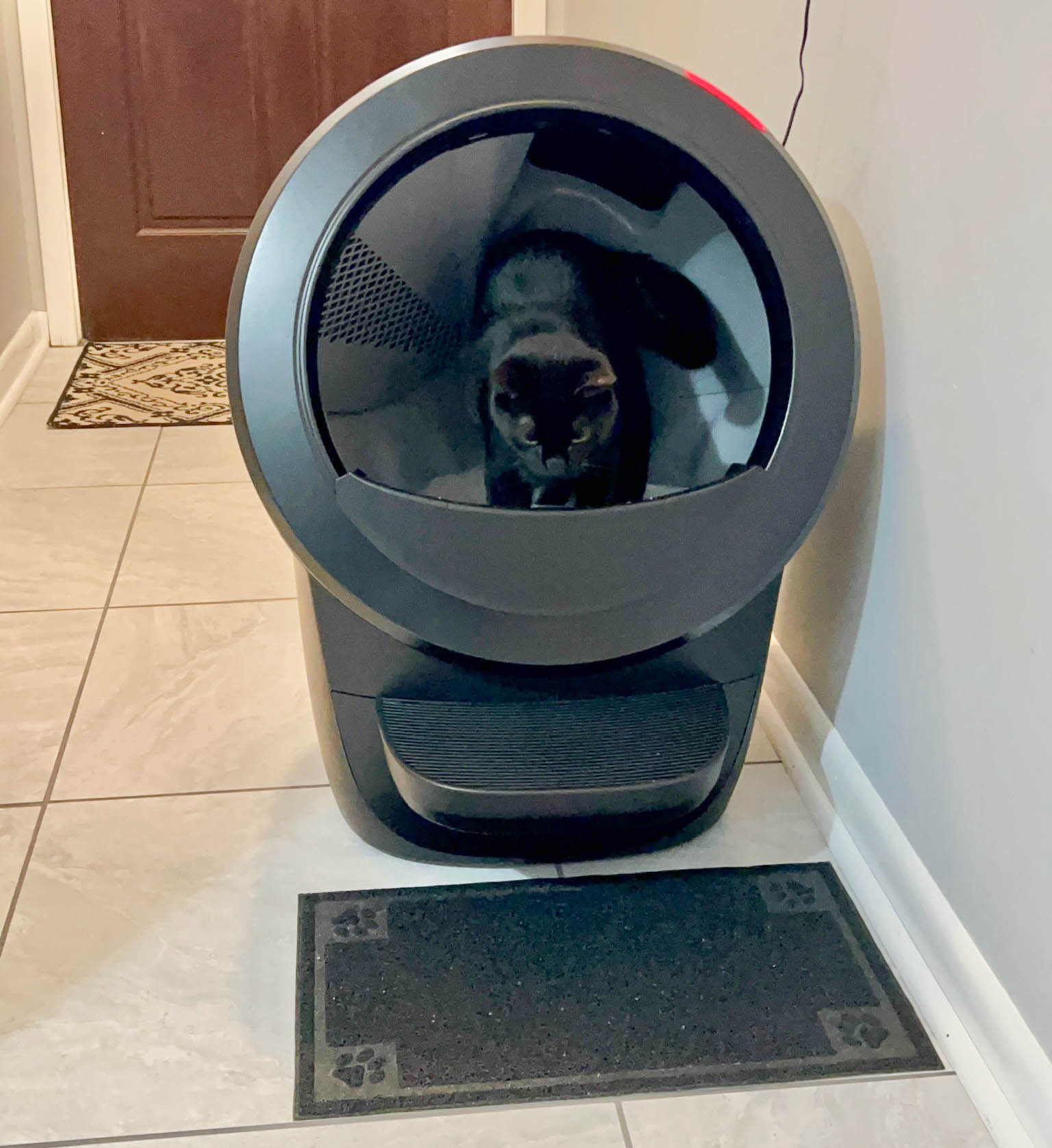 Litter robot outlet weight