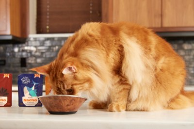 Tailored to Purr-fection: Made By Nacho Premium Cat Food by Chef Bobby Flay