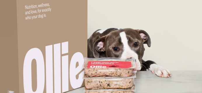 Say Hello to Ollie Dog Food: Wholesome Dining for Dogs with Custom Fresh & Baked Meals!