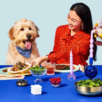 The Pets Table: Keeping Your Furry Friends Healthy and Happy with Personalized Dog Food