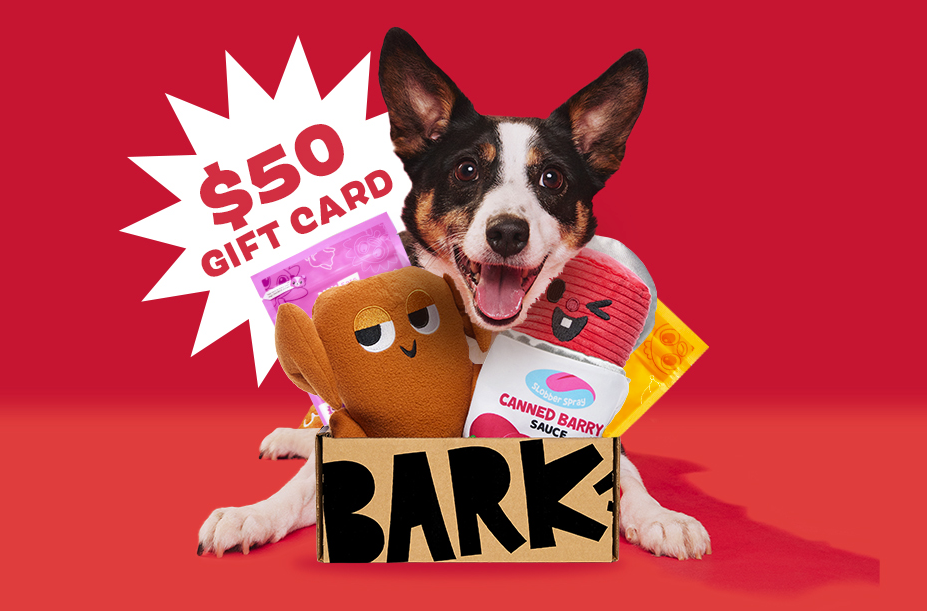 BarkBox & Super Chewer Coupon FREE 50 Target Gift Card With First Box