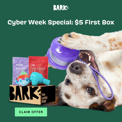 BarkBox Super Chewer Cyber Monday Coupon: First Month of Tough Toys for Dogs For Just $5! 
