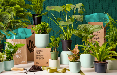 The Sill Cyber Monday Coupon: Up To 50% Off On Plants and More!