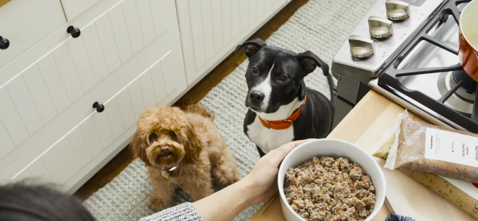 The Farmer’s Dog Cyber Monday Deal: 50% Off First Box Fresh Dog Food!