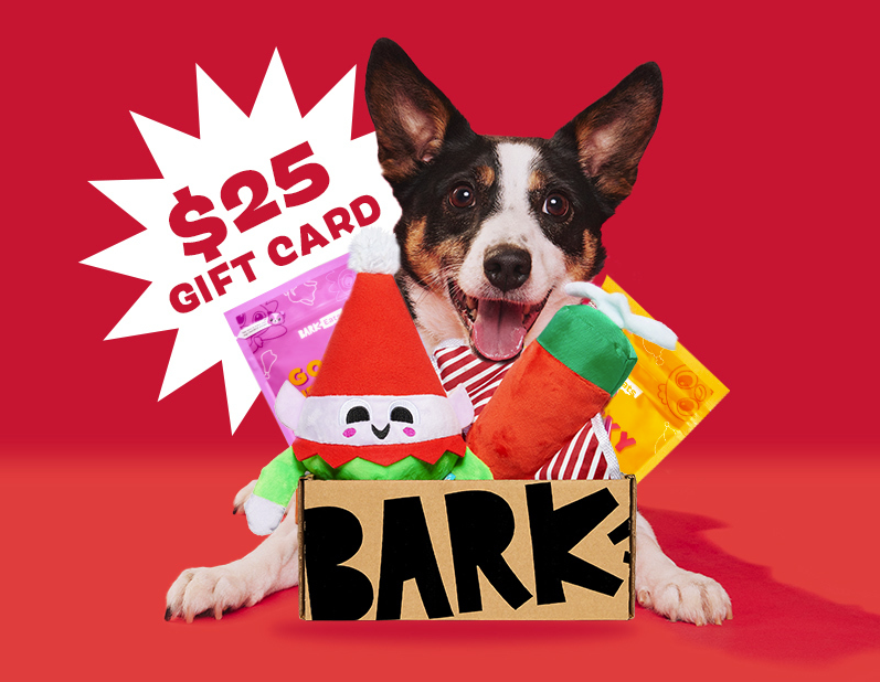 BarkBox Coupon: Double Your First Box For FREE! - Hello Subscription