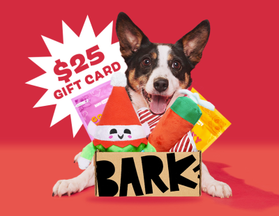 BarkBox Coupon: Double Your First Box for FREE Hello Subscription