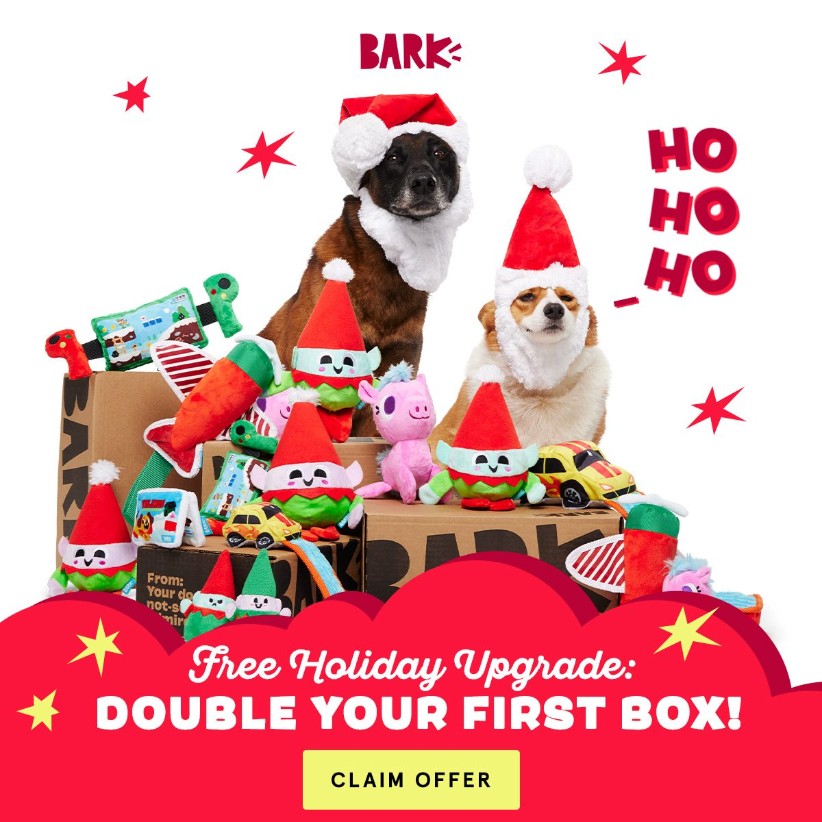 Super Chewer BarkBox - Our friends at YETI made these limited