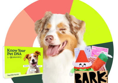 BarkBox & Super Chewer Coupon: FREE Ancestry Know Your Pet DNA With First Box of Toys and Treats for Dogs!