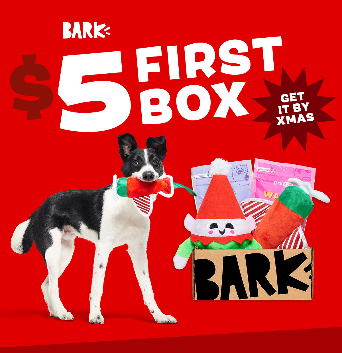 Barkbox Super Chewer First