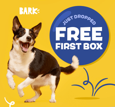 Barkbox Super Chewer: Free YETI® Bowls are Back