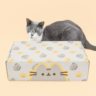 Cat Kit by Pusheen Box Spring 2024 Spoilers!