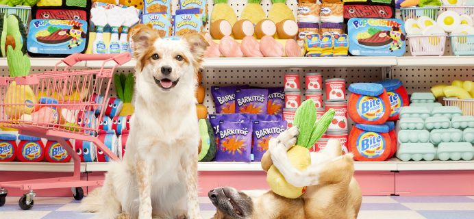 Super Chewer Coupon: Get 50% Off Your First Box of Tough Toys for Dogs! 