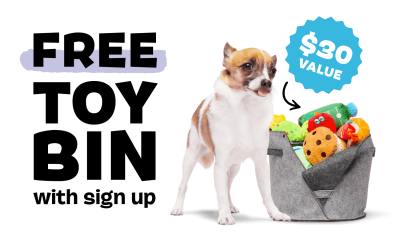 BarkBox & Super Chewer Coupon: Get a FREE Felt Toy Bin With First Box of Toys and Treats for Dogs!