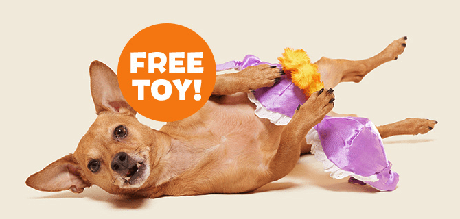 BarkBox Coupon: FREE Bite the Patriarchy Dog Toy With First Box of Dog Toys and Treats!