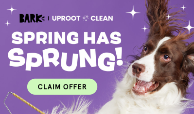 BarkBox & Super Chewer Deal: FREE Uproot Cleaning Bundle With First Box of Toys and Treats for Dogs!