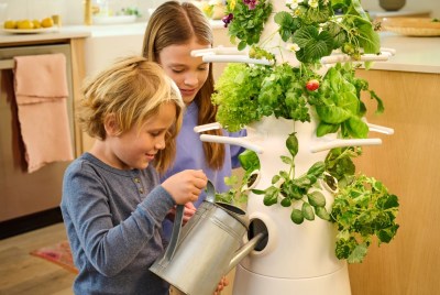 Cultivate Your Own Fresh Produce with Lettuce Grow: A Unique Approach to Home Gardening