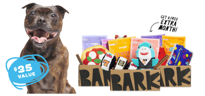 BarkBox Coupon: Get Extra Month FREE with Dog Toys and Treats Subscription!
