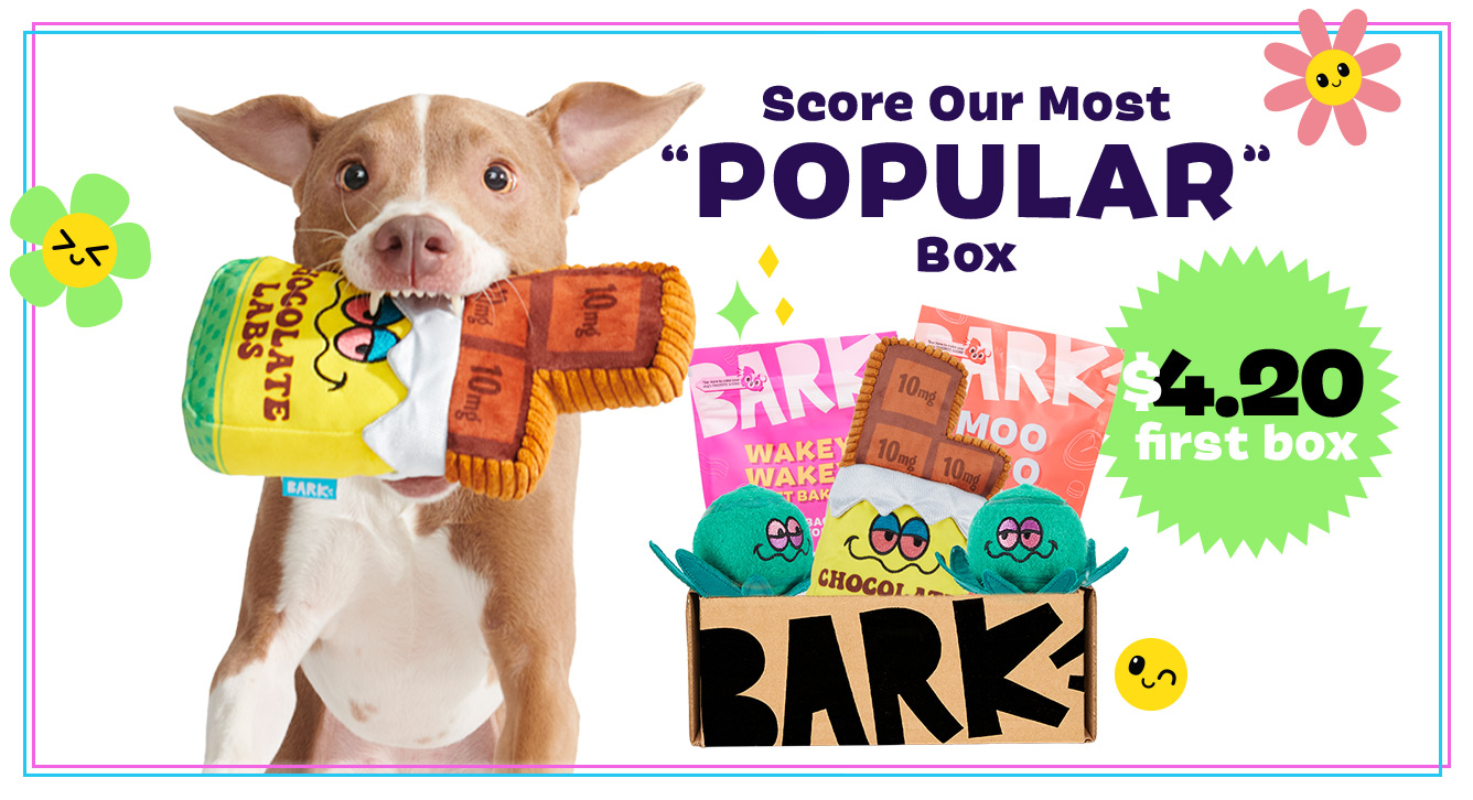 Barkbox & Super Chewer Coupon: First Box Of Dog Toys And Treats For 