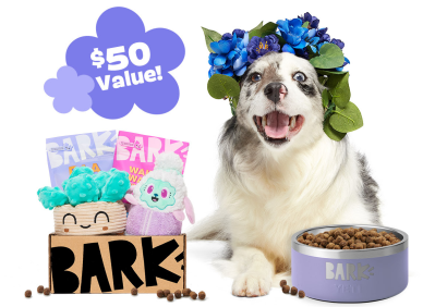 BarkBox & Super Chewer Mother’s Day Deal: FREE Yeti Dog Bowl In Lilac With First Box of Toys and Treats for Dogs!