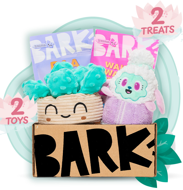 BarkBox & Super Chewer Mother's Day Deal: FREE Yeti Dog Bowl In Lilac ...