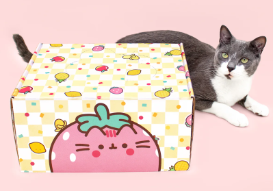 Cat Kit by Pusheen Box Summer 2024 Spoilers!
