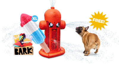 BarkBox & Super Chewer Deal: FREE Fourth of July Bundle With First Box of Toys and Treats for Dogs!
